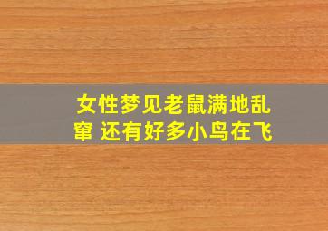 女性梦见老鼠满地乱窜 还有好多小鸟在飞